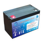 CE Standard 40AH 12V LiFePO4 Batteries For Touring Car